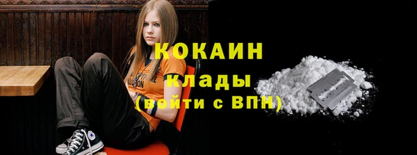 твердый Богданович