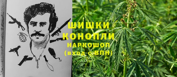 альфа пвп Заводоуковск
