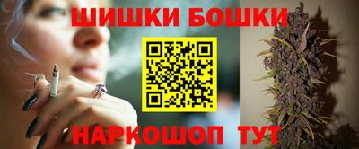 индика Гагарин