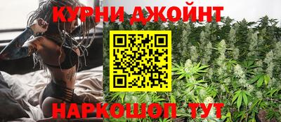 трава Бийск
