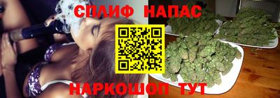 трава Бийск