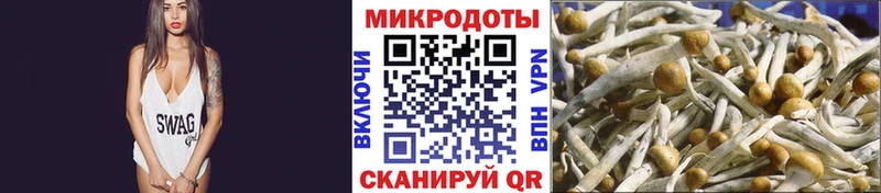 Галлюциногенные грибы ЛСД  MEGA tor  нарко площадка клад  Волгодонск 