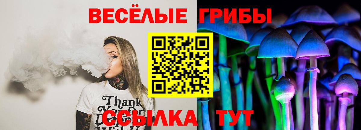 Псилоцибиновые грибы Magic Shrooms Волгодонск